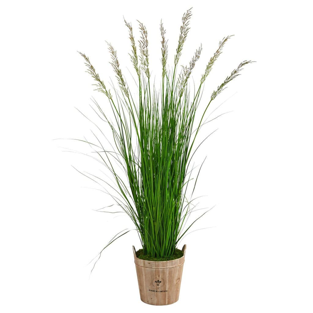 6’ Grass Artificial Plant in Farmhouse Planter | Rental 6’ Grass Artificial Plant in Farmhouse Planter | Rental