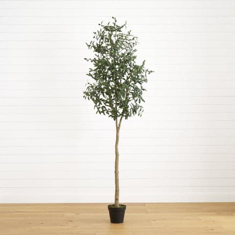 8’ Artificial Olive Tree | Rental 8’ Artificial Olive Tree | Rental
