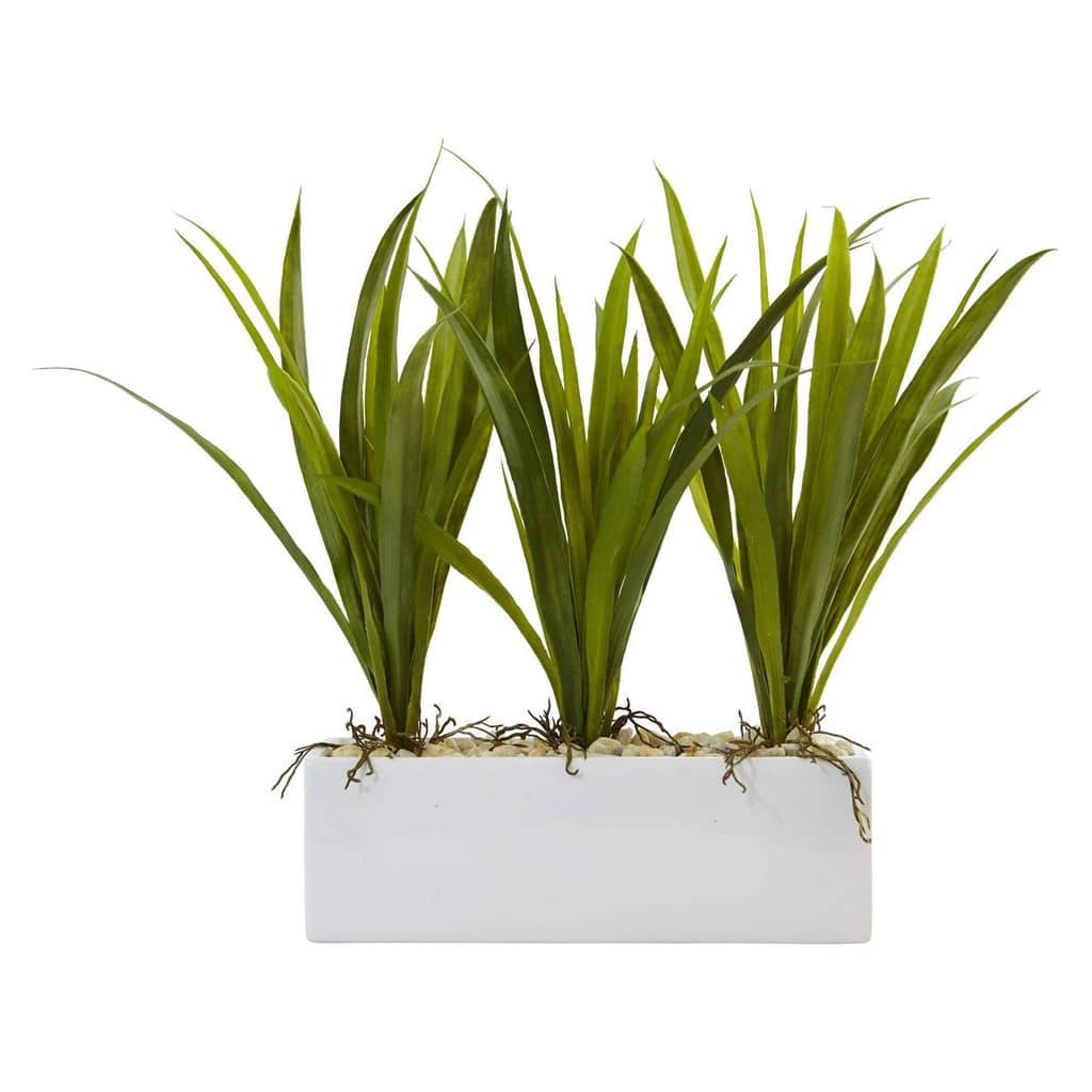 Grass in Rectangular Planter | Rental Grass in Rectangular Planter | Rental
