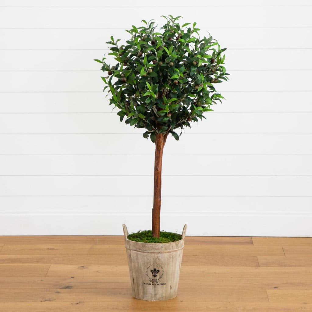 Olive Topiary Tree with Farmhouse Planter | Rental Olive Topiary Tree with Farmhouse Planter | Rental