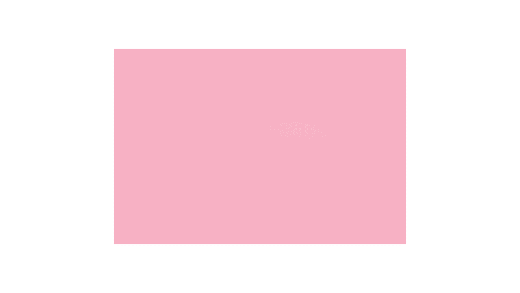 Light Pink Backdrop Rental | Rental Light Pink Backdrop Rental | Rental