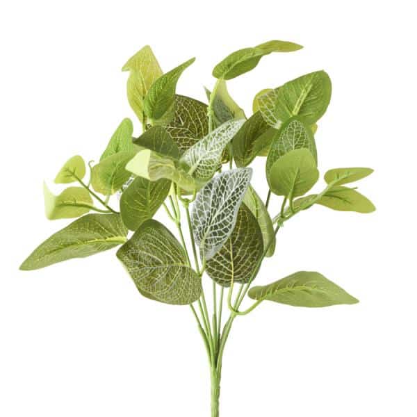 Decostar™ Artificial Fittonia Leaf Bunch – Green/White – 13″ | Rental