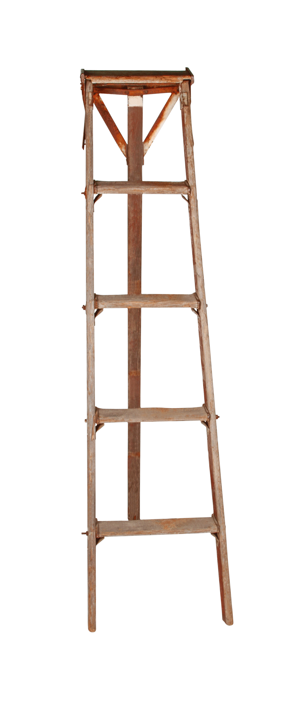Ladder Natural Fruit Picking – 5′ Fruit | Rental