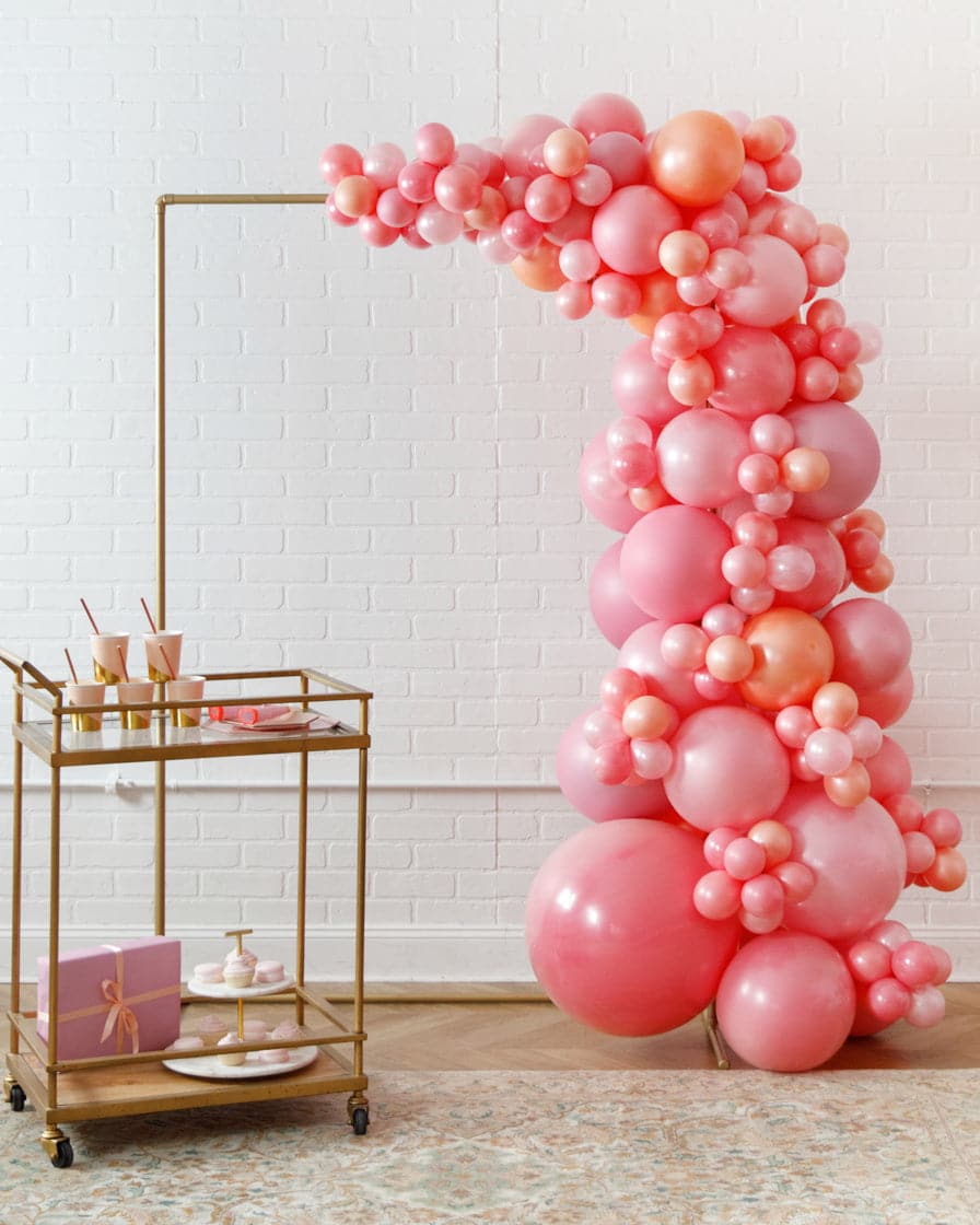 Rosé Bubbles – 4×6 Frame with Garland Install Piece | Rental