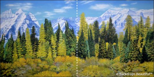 Aspen Mountains  1B Panel | Rental